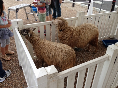 ふれあい動物ランド！⑦宝塚・西宮・芦屋・神戸の鉄筋コンクリート住宅・ＲＣ住宅なら三和建設。