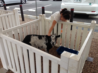 ふれあい動物ランド！⑧宝塚・西宮・芦屋・神戸の鉄筋コンクリート住宅・ＲＣ住宅なら三和建設。