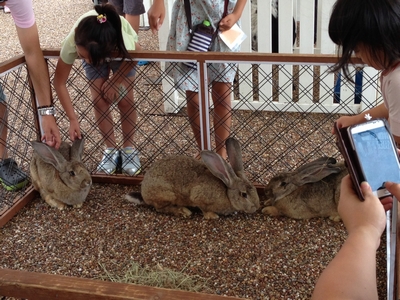 ふれあい動物ランド！⑨宝塚・西宮・芦屋・神戸の鉄筋コンクリート住宅・ＲＣ住宅なら三和建設。