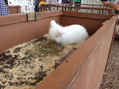 ふれあい動物ランド！⑩宝塚・西宮・芦屋・神戸の鉄筋コンクリート住宅・ＲＣ住宅なら三和建設。