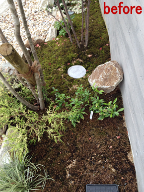美しい庭は手入れ次第 苔園芸は水遣りが肝 三和建設のコンクリート住宅 blog 美しい庭は手入れ次第 苔園芸は水遣りが肝 三和建設のコンクリート住宅 blog