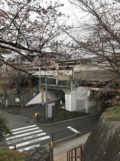 2017.4.1阪急夙川駅周辺桜①