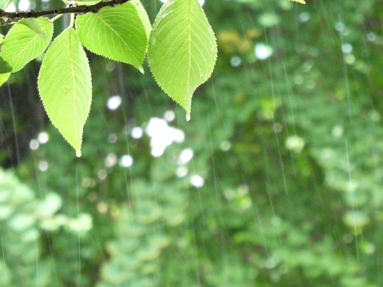 雨模様